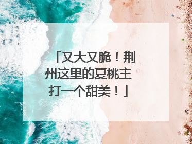 又大又脆！荆州这里的夏桃主打一个甜美！
