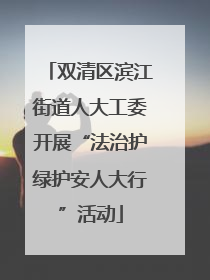 双清区滨江街道人大工委开展“法治护绿护安人大行”活动