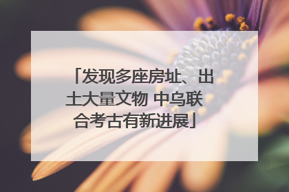 发现多座房址、出土大量文物 中乌联合考古有新进展