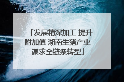 发展精深加工 提升附加值 湖南生猪产业谋求全链条转型