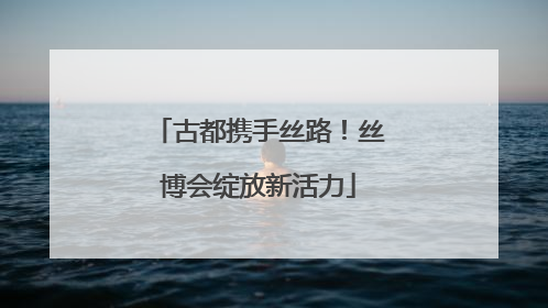 古都携手丝路！丝博会绽放新活力