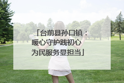 台前县孙口镇：暖心守护践初心 为民服务显担当