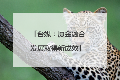 台媒：厦金融合发展取得新成效