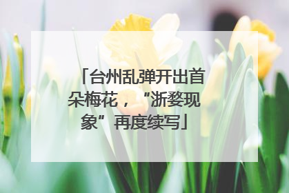 台州乱弹开出首朵梅花，“浙婺现象”再度续写