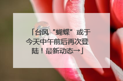 台风“蝴蝶”或于今天中午前后再次登陆！最新动态→