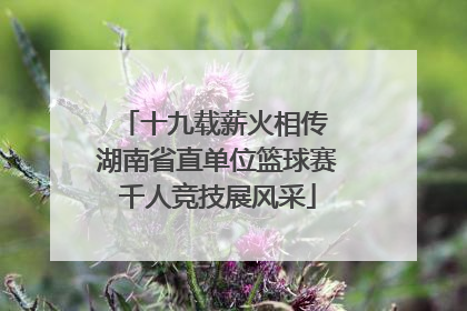 十九载薪火相传 湖南省直单位篮球赛千人竞技展风采