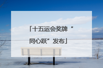 十五运会奖牌“同心跃”发布