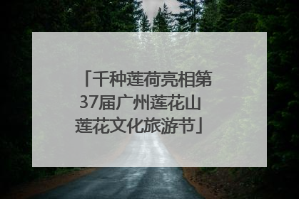 千种莲荷亮相第37届广州莲花山莲花文化旅游节