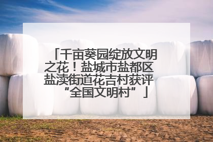 千亩葵园绽放文明之花！盐城市盐都区盐渎街道花吉村获评“全国文明村”
