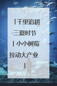 千里追耕·三夏时节丨小小树莓拉动大产业