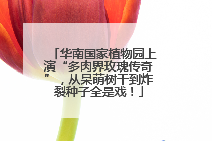华南国家植物园上演“多肉界玫瑰传奇”，从呆萌树干到炸裂种子全是戏！