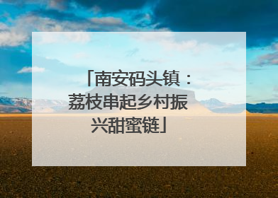 南安码头镇：荔枝串起乡村振兴甜蜜链