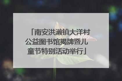 南安洪濑镇大洋村公益图书馆揭牌暨儿童节特别活动举行
