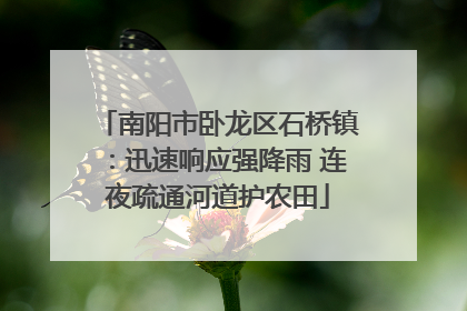 南阳市卧龙区石桥镇：迅速响应强降雨 连夜疏通河道护农田