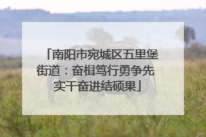 南阳市宛城区五里堡街道：奋楫笃行勇争先 实干奋进结硕果