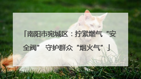 南阳市宛城区：拧紧燃气“安全阀” 守护群众“烟火气”