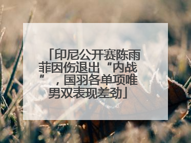 印尼公开赛陈雨菲因伤退出“内战”，国羽各单项唯男双表现差劲