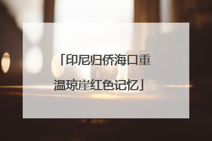 印尼归侨海口重温琼崖红色记忆