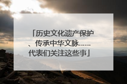 历史文化遗产保护、传承中华文脉……代表们关注这些事