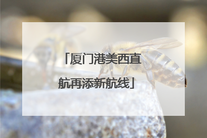 厦门港美西直航再添新航线