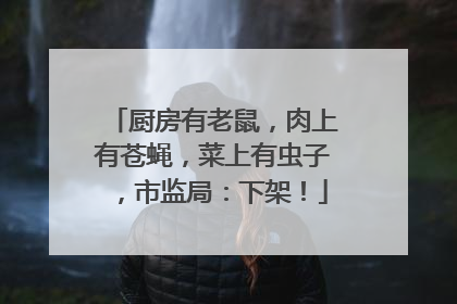 厨房有老鼠，肉上有苍蝇，菜上有虫子，市监局：下架！