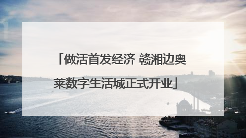 做活首发经济 赣湘边奥莱数字生活城正式开业