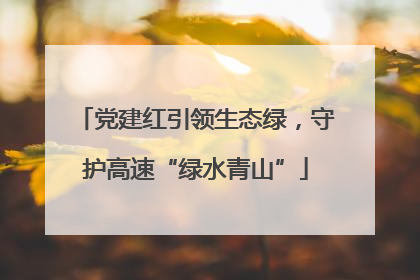 党建红引领生态绿，守护高速“绿水青山”