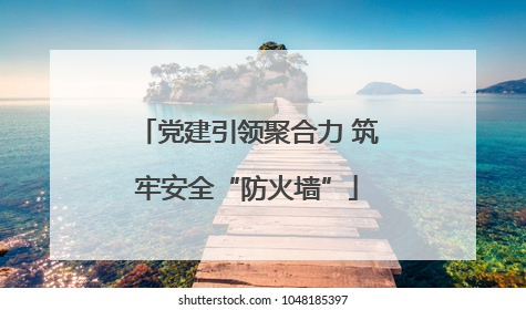 党建引领聚合力 筑牢安全“防火墙”
