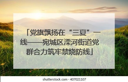 党旗飘扬在“三夏”一线——宛城区溧河街道党群合力筑牢禁烧防线