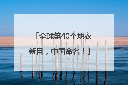 全球第40个地衣新目，中国命名！