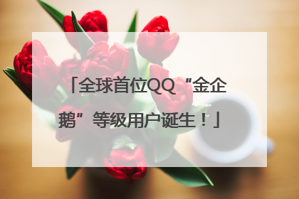 全球首位QQ“金企鹅”等级用户诞生！