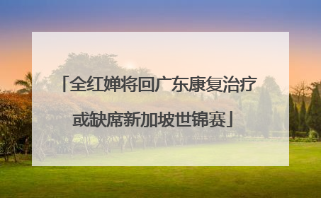 全红婵将回广东康复治疗 或缺席新加坡世锦赛