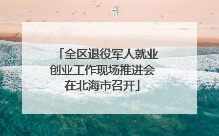 全区退役军人就业创业工作现场推进会在北海市召开