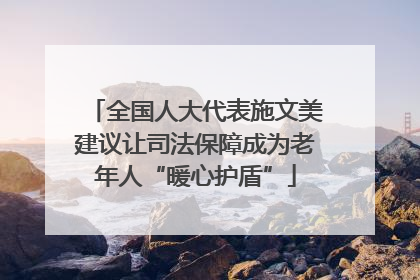 全国人大代表施文美建议让司法保障成为老年人“暖心护盾”