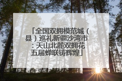 全国双拥模范城（县）巡礼新疆沙湾市：天山北麓双拥花 五届蝉联铸辉煌