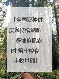 全国夏种进度条持续刷新：多地抢抓农时 筑牢粮食丰收基础