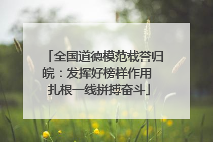 全国道德模范载誉归皖：发挥好榜样作用 扎根一线拼搏奋斗