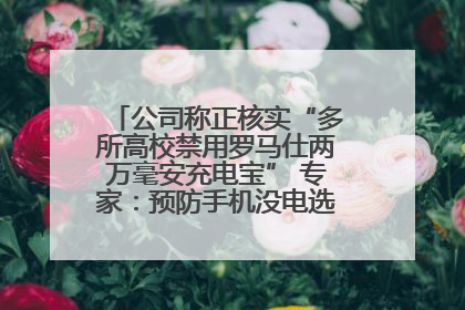 公司称正核实“多所高校禁用罗马仕两万毫安充电宝” 专家：预防手机没电选中等体积产品即可