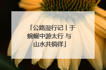 公路漫行记丨于蜿蜒中游太行 与山水共徜徉