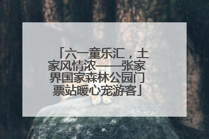 六一童乐汇，土家风情浓——张家界国家森林公园门票站暖心宠游客
