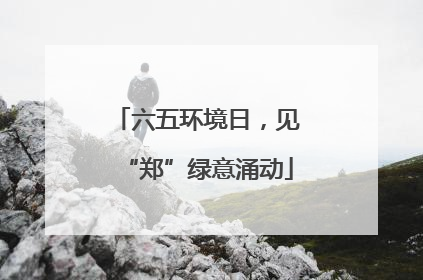 六五环境日，见“郑”绿意涌动