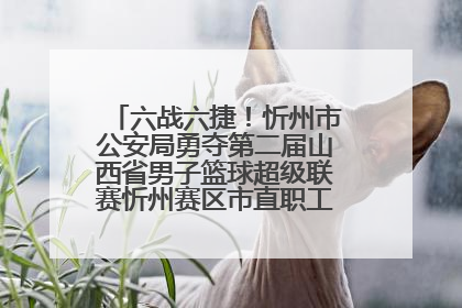 六战六捷！忻州市公安局勇夺第二届山西省男子篮球超级联赛忻州赛区市直职工组比赛冠军