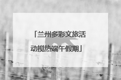 兰州多彩文旅活动搅热端午假期
