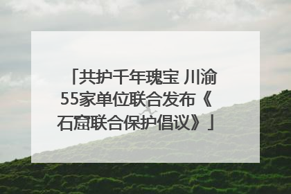 共护千年瑰宝 川渝55家单位联合发布《石窟联合保护倡议》