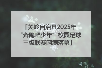 关岭自治县2025年“奔跑吧少年”校园足球三级联赛圆满落幕