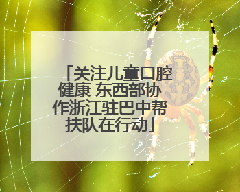 关注儿童口腔健康 东西部协作浙江驻巴中帮扶队在行动