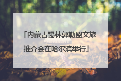 内蒙古锡林郭勒盟文旅推介会在哈尔滨举行