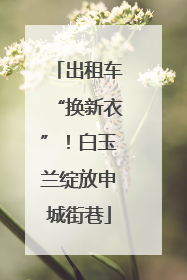 出租车“换新衣”！白玉兰绽放申城街巷