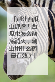 别让西瓜虫肆虐！西瓜虫怎么彻底消灭，潮虫用什么药最有效？