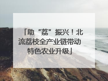 助“荔”振兴！北流荔枝全产业链带动特色农业升级